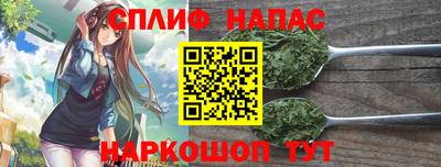 СК Конаково