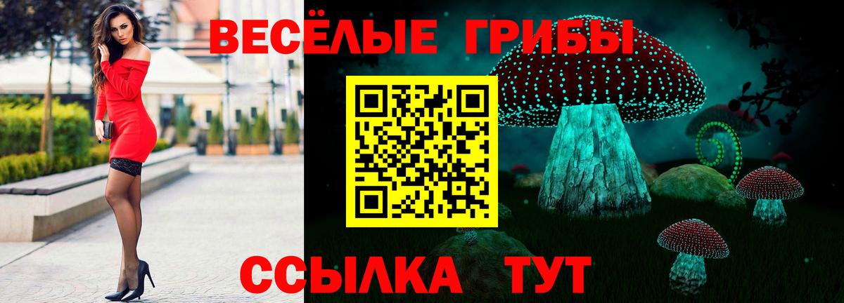 Магнитогорск  что такое наркотик  Вход с VPN  Галлюциногенные грибы мухоморы 
